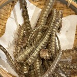 新宿うな鐵　恵比寿店 - 