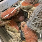 The Boatshed Pyrmont - 