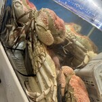 The Boatshed Pyrmont - 