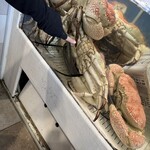 The Boatshed Pyrmont - 