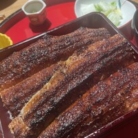炭焼 うな富士 有楽町店 - 