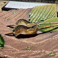 北海道炉端焼き 篝 - 