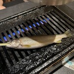 博多野菜巻き串ともつ焼き すみび - 