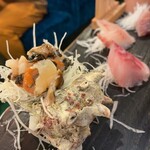 フィッシュ オン ディッシュ ロリー - 