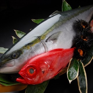 日本海直送！ネタが新鮮！ネット予約満の場合電話予約OK