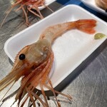 近江町海鮮丼家ひら井 - 