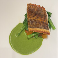 フィエルテ - 島根産 11日熟成 イサキ