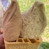 Gelateria Rimo 網走本店