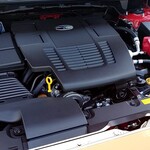 神戸ちぇりー亭 - 