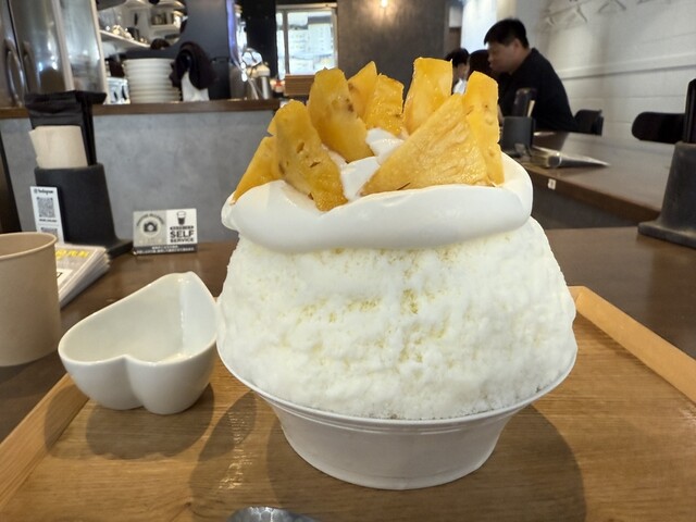 Kajitsu to Koori Iwasawa Hiroshima Ten photo 5