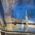 函館朝市 えびす食堂 - 