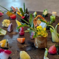 TSUSHIMI - 