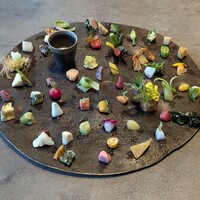 TSUSHIMI - 
