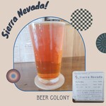 BEER COLONY - Sierra Navada