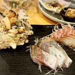 フィッシュ オン ディッシュ ロリー - 