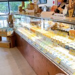 MARLOWE - ショーケース