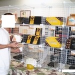 Menehune Mac - チョコレートは全種類試食出来ます