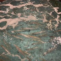 河太郎 中洲本店 - 