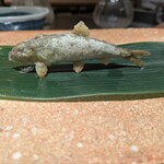 天ぷら 大坂屋 草哲 - 