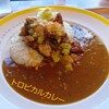 JOTO CURRY  - 