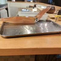 鯖とか烏賊とか真とか - 