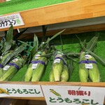 道の駅 オライはすぬま - 