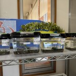 道の駅 オライはすぬま - 