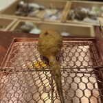 串かつ あーぼん - 