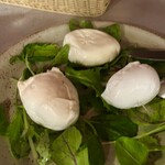 オービカ モッツァレラバー - 