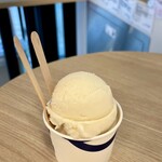 SAKEICE - 日本酒アイスクリーム
稲とアガべ コーヒーとぶろく、都農ワインキャンベル・アーリー