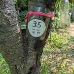 田中果樹園 - 田中果樹園