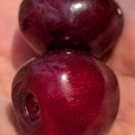 田中果樹園 - 田中果樹園