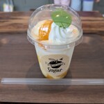 ESOLA ABISON GARDEN - 