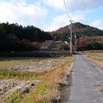 お清水うなぎ・在郷料理 山居 - 畑の真ん中に見えるわらぶき屋根