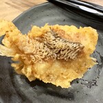 天ぷら呑み 小島ん家 - 