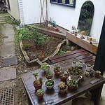 マガザンプラス - 