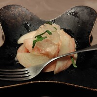 オッジ ダルマット 西麻布店 - 