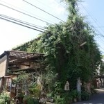 スパイスカフェ - ツタがスゴい