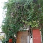 スパイスカフェ - ツタがスゴい