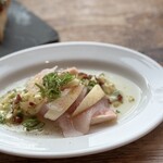 ドノスティア - 