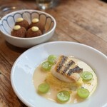 ドノスティア - 