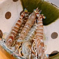 天ぷら 車 - 20gの巻海老サイズの活。２本供されますが、半レアは活、しっかり揚げはすでにさばかれておりました。恐らく輸送中に天に召された巻海老さんかな？