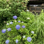 手打蕎麦ゆい - 