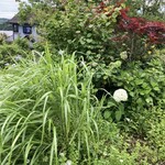 手打蕎麦ゆい - 