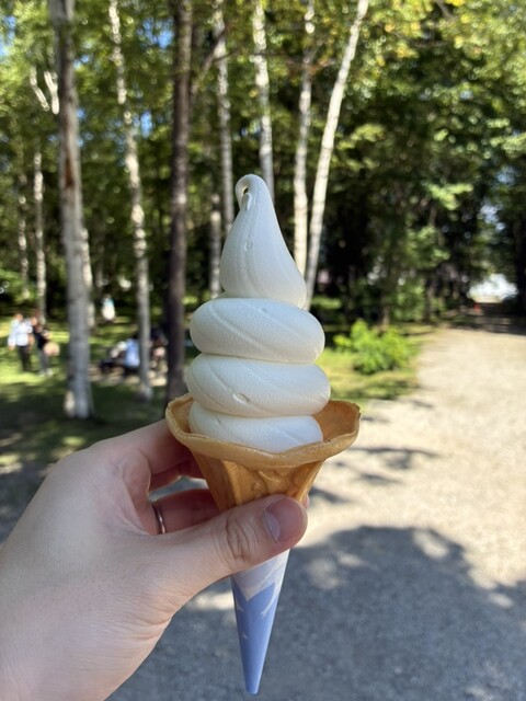 富良野チーズ工房 アイスミルク工房（フラノチーズコウボウ アイスミルクコウボウ） - 富良野（ジェラート・アイスクリーム）の写真