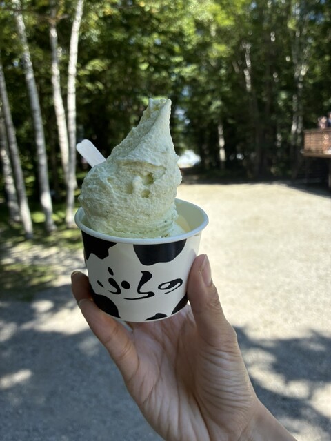 富良野チーズ工房 アイスミルク工房（フラノチーズコウボウ アイスミルクコウボウ） - 富良野（ジェラート・アイスクリーム）の写真