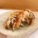 穴子料理と地酒 浅草 川井 - 有明産 穴蝦蛄の素揚げ