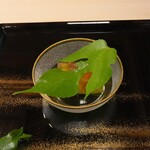 片折 - 柏、五色寄せ