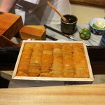 鮨ざこや - ムラサキウニ