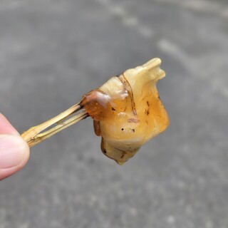 ぢゃんぼ餅 淀川屋_1